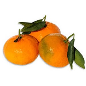 Liquore di mandarino o mandarinetto ingredienti: